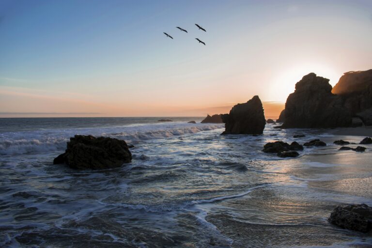 Beautiful Shot Of Birds Flying Over The Ocean Shore During A Breathtaking Sunset