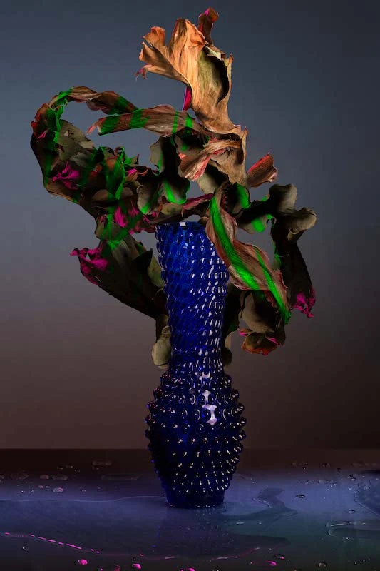 Fugu Vase In Electric Blue, Design František Jungvirt, Foto Shotbyus