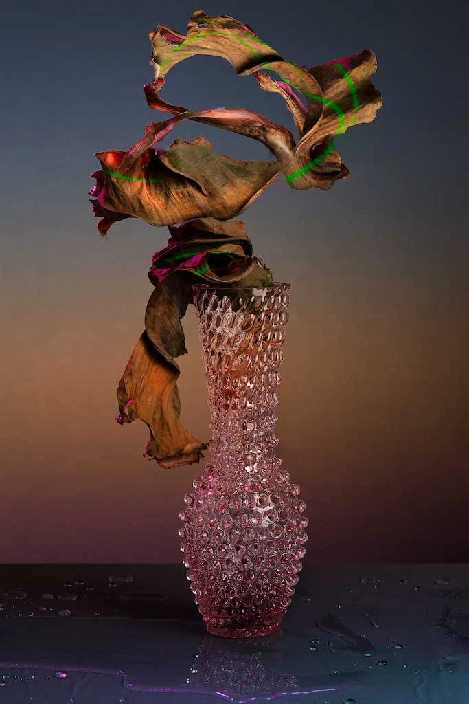 Fugu Vase In Rosaline, Design František Jungvirt, Foto Shotbyus