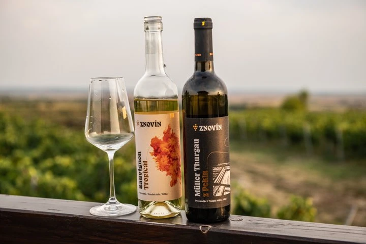 Znovin muller sauvignon 6913676f2719e