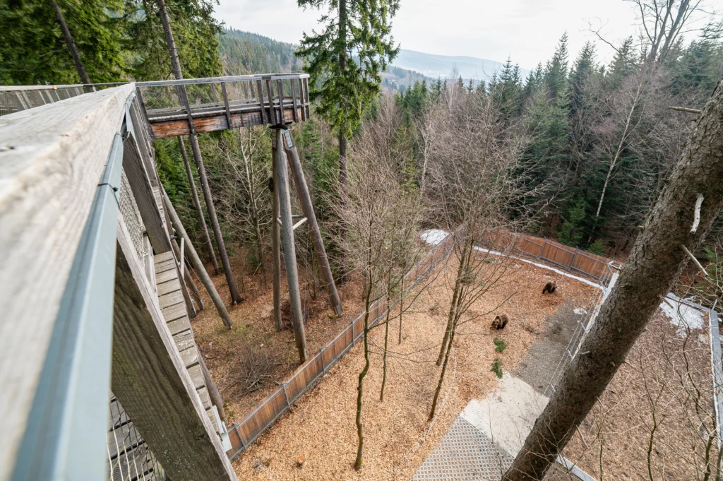 Medvedi stezka foto jan bartos stezka korunami stromu krkonose 58 69c39d3b3ef82